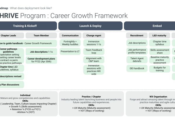 Program delivery roadmap