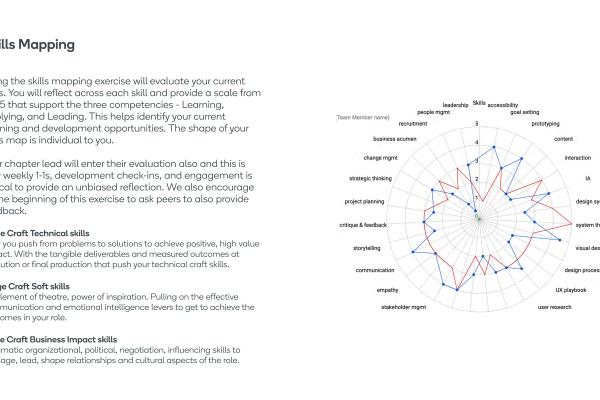 skills mapping